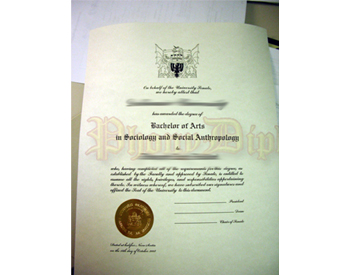 International Canada Fake Diploma With Embossed Foil Seal